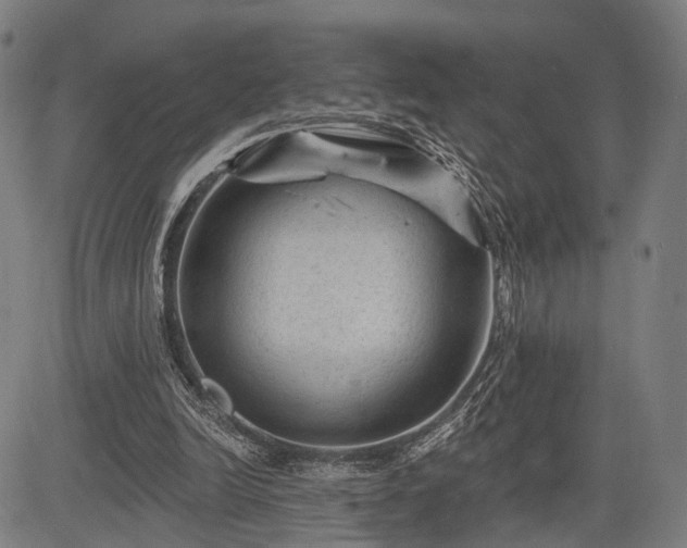 X0000083610246200702201257