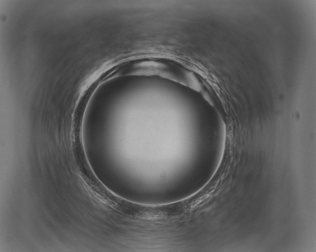 X0000083610248200702201257