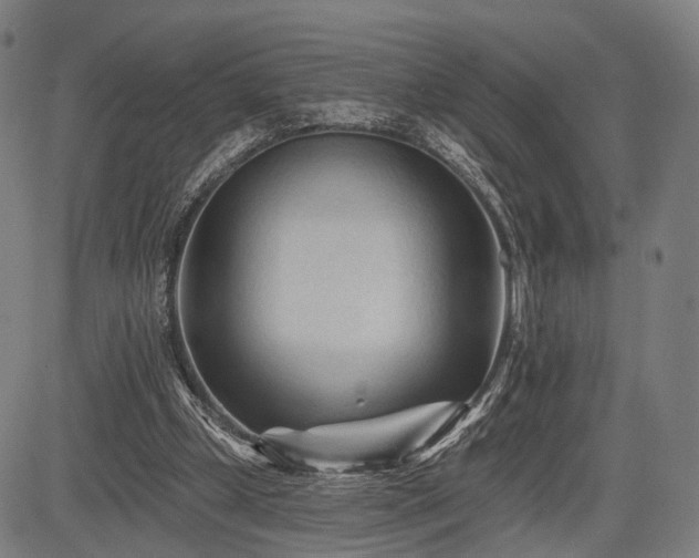 X0000083610249200702201257