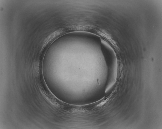 X0000083610250200702201257