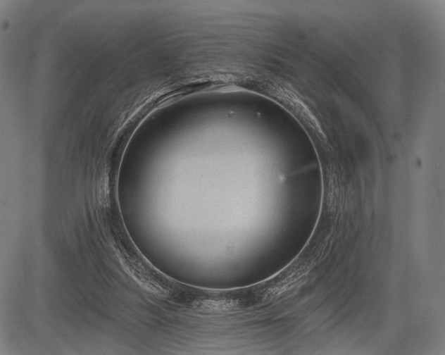 X0000083610251200702201257