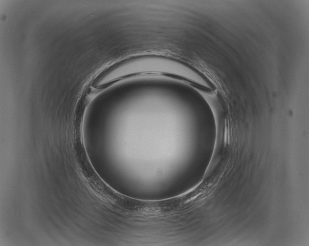 X0000083610252200702201257