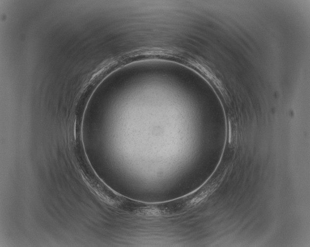 X0000083610253200702201257