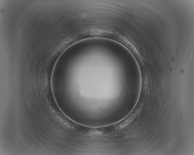 X0000083610257200702201257