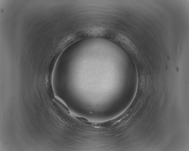 X0000083610259200702201257