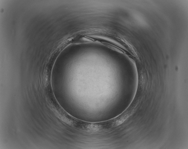 X0000083610261200702201257