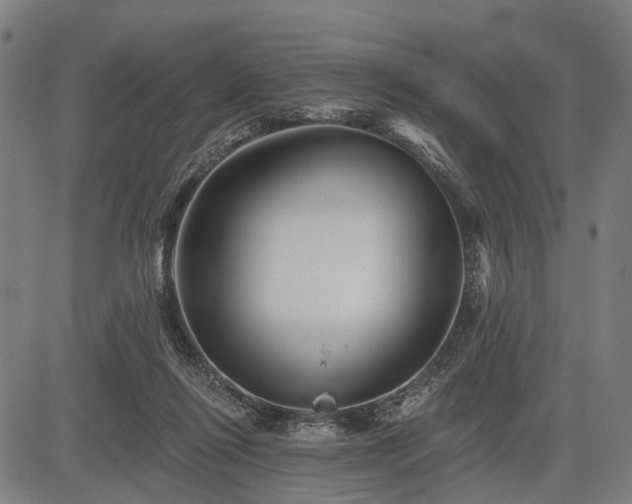 X0000083610262200702201257