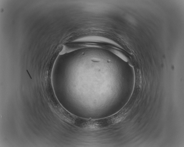 X0000083610263200702201257