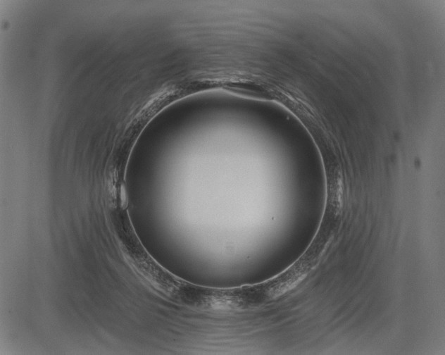 X0000083610264200702201257