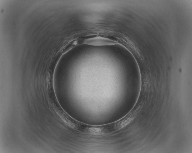 X0000083610265200702201257