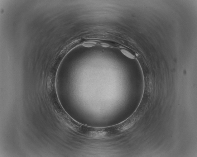 X0000083610266200702201257