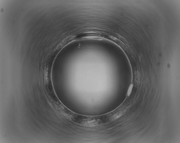 X0000083610267200702201257