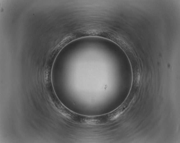 X0000083610268200702201257