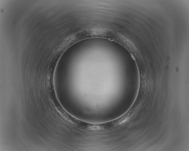 X0000083610269200702201258