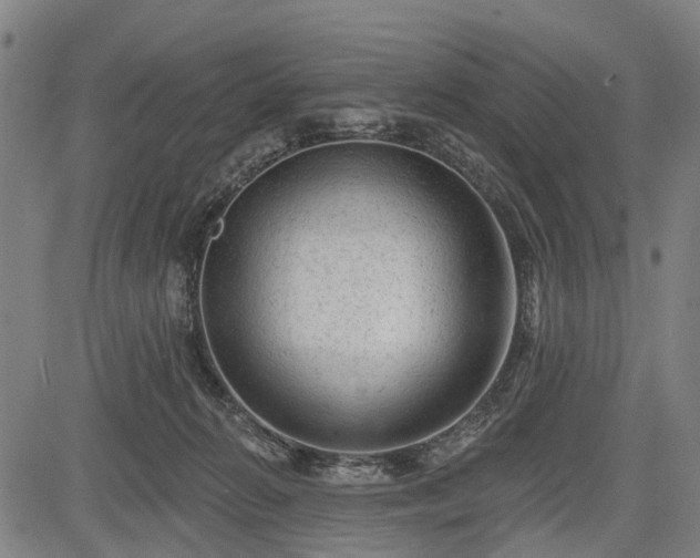 X0000083610270200702201258