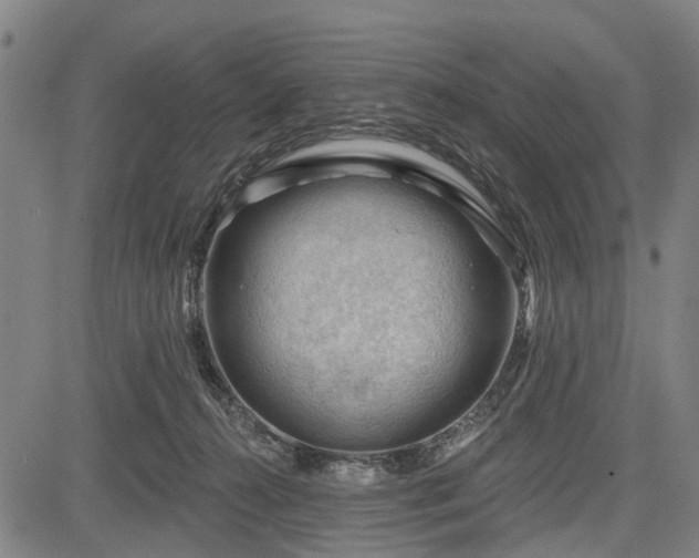 X0000083610272200702201258