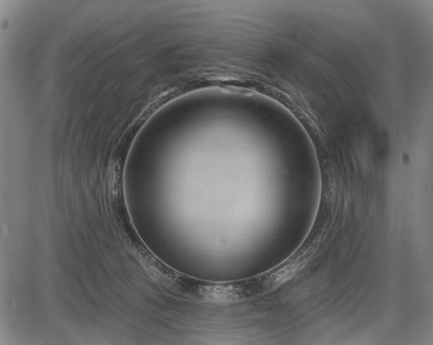 X0000083610273200702201258