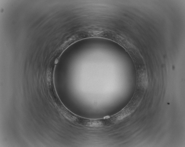 X0000083610274200702201258