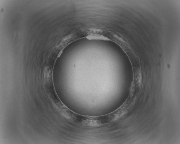 X0000083610276200702201258