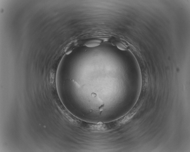 X0000083610281200702201258