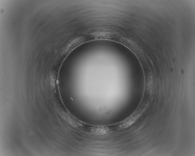 X0000083610282200702201258