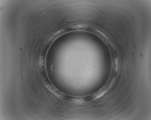 X0000083610284200702201258