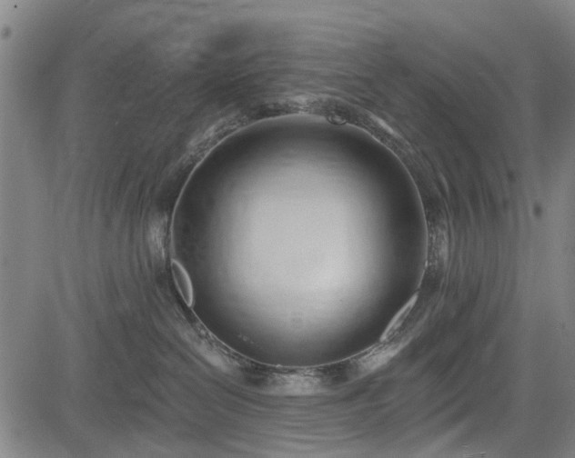 X0000083610286200702201258