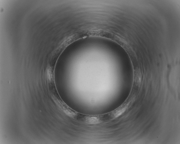 X0000083610287200702201258