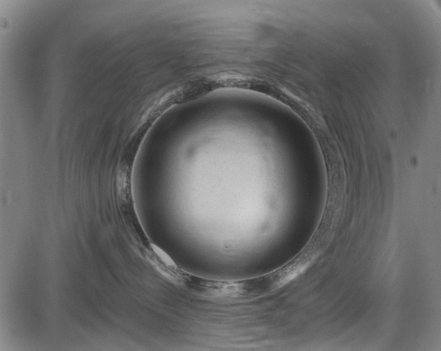 X0000083610288200702201258