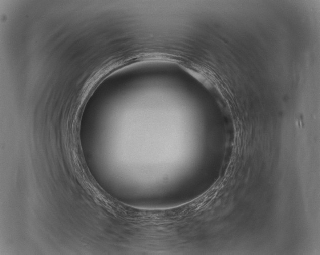 X0000083610289200702201257