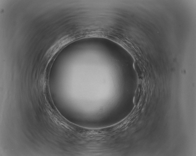 X0000083610290200702201257