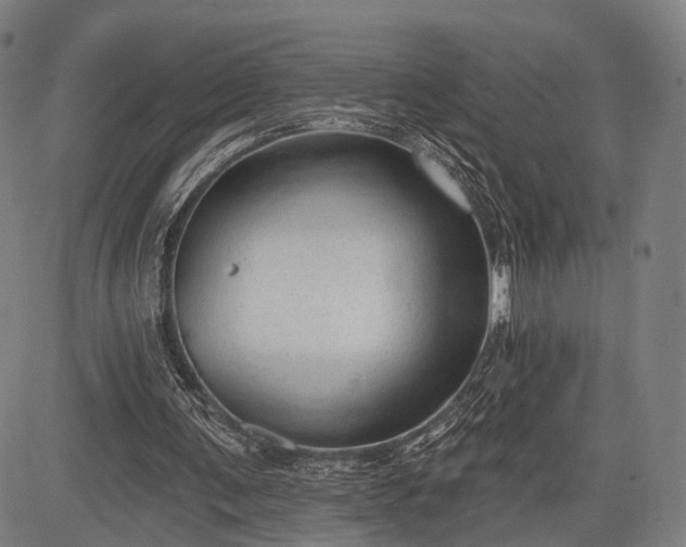 X0000083610291200702201257