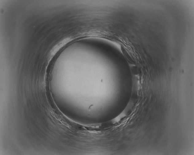 X0000083610292200702201257