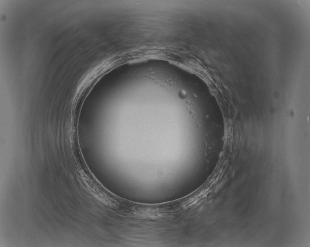 X0000083610293200702201257