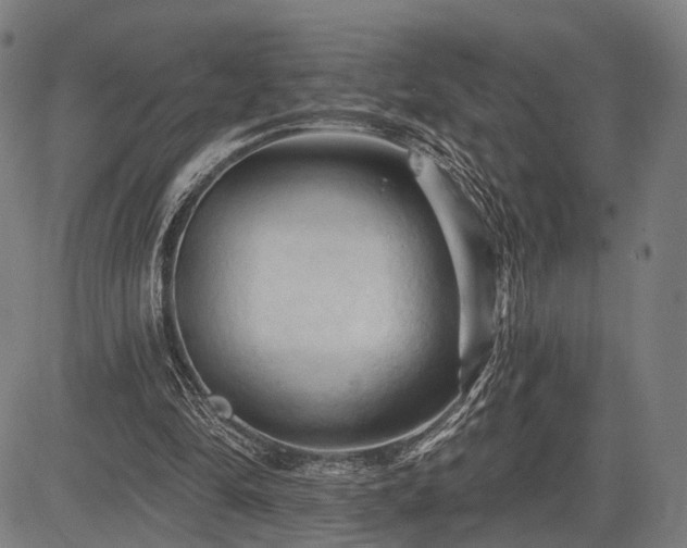 X0000083610294200702201257