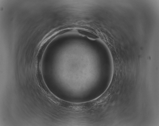 X0000083610295200702201257