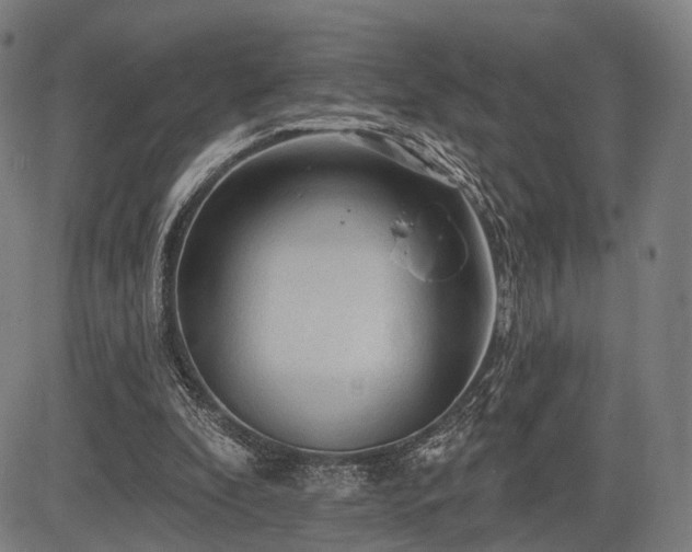 X0000083610296200702201257