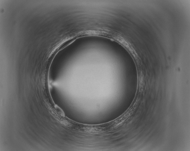 X0000083610297200702201257