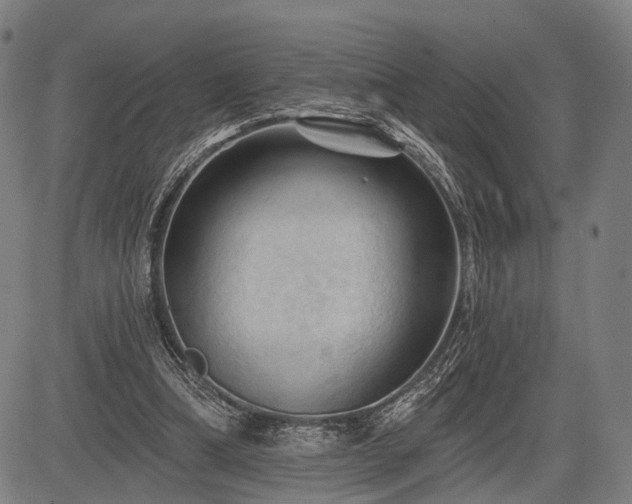 X0000083610298200702201257