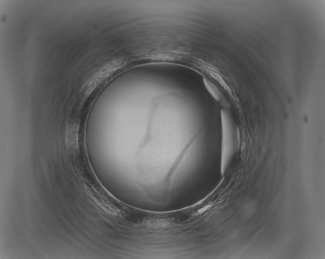 X0000083610299200702201257