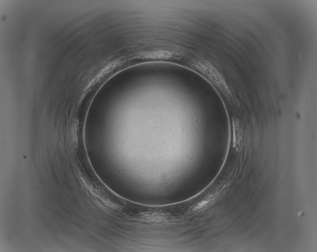 X0000083610300200702201257