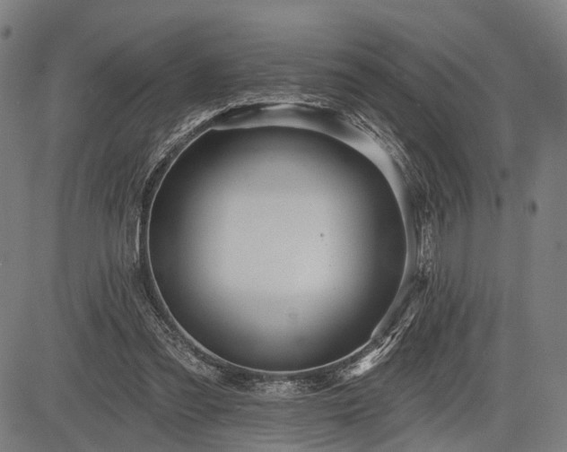 X0000083610301200702201257