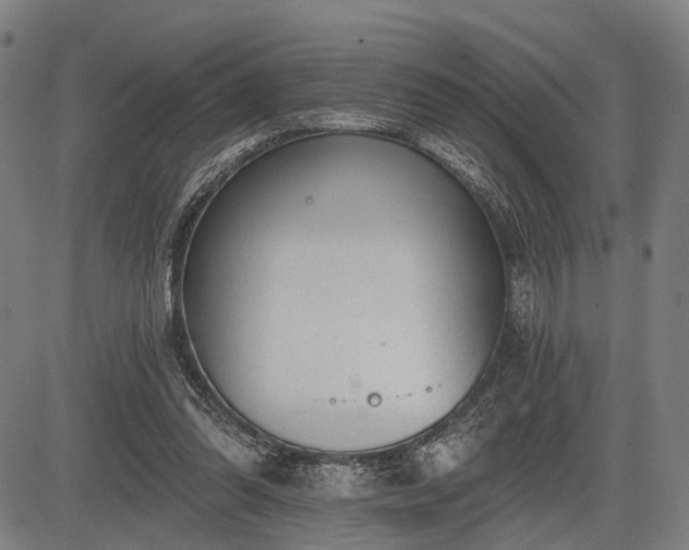 X0000083610302200702201257