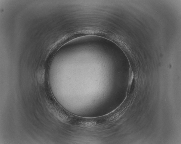 X0000083610304200702201257