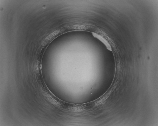 X0000083610305200702201257