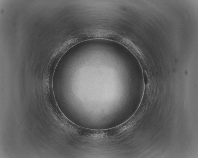 X0000083610306200702201257