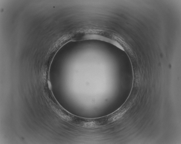 X0000083610309200702201257