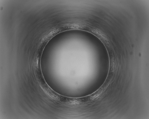 X0000083610310200702201257