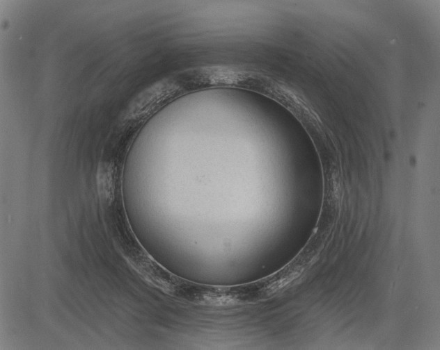 X0000083610311200702201257