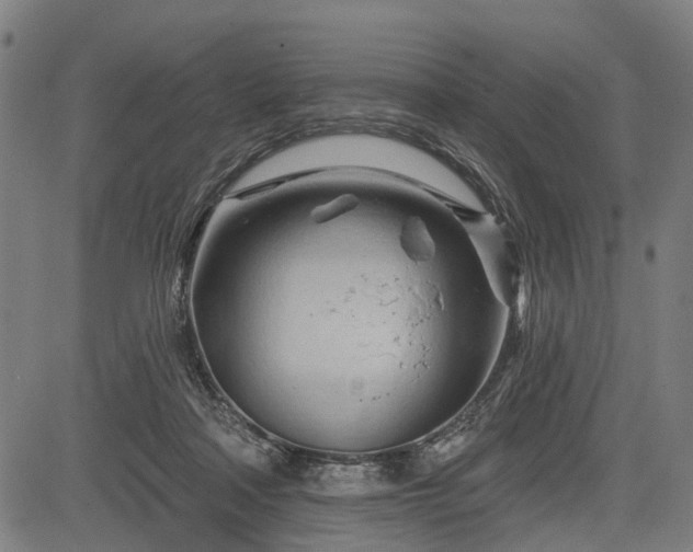 X0000083610314200702201257